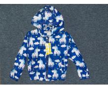 Куртка детская XSB, модель Cyr38 blue демисезон