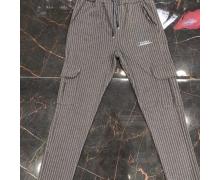 штаны мужские Zazzoni, модель Z144 grey демисезон