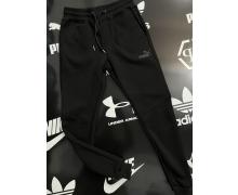 штаны спорт мужские Alex Clothes, модель A2367 black демисезон