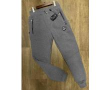 штаны спорт мужские Alex Clothes, модель A2384 grey зима
