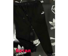 штаны спорт мужские Alex Clothes, модель A2416 black батал зима