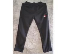 штаны спорт мужские Xyen, модель 171167 black зима