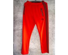 штаны спорт мужские Xyen, модель 171199 red демисезон