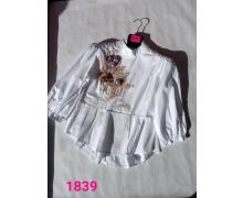 блузка женская T.S.Eliot, модель 1839-2 лето