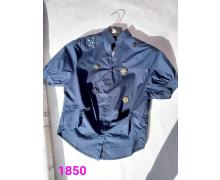 блузка женская T.S.Eliot, модель 1850-3 лето