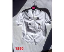 блузка женская T.S.Eliot, модель 1850-3 лето