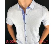 рубашка мужская Надийка, модель Y1721 l.blue лето