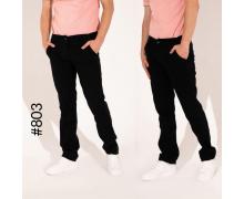 брюки мужские Seven Group, модель 803 black демисезон