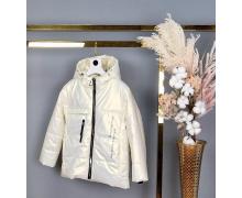 Куртка детская Delfinka, модель 7204 milk демисезон