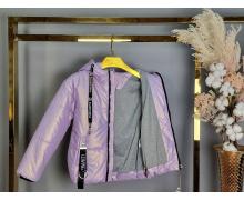 Куртка детская Delfinka, модель 7201 lilac демисезон