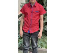 Рубашка детская Nik, модель 2047 red лето