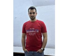 футболка мужская Global, модель 855 red лето