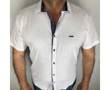 рубашка мужская Надийка, модель RB2605-8 бел сер-син вставка лето