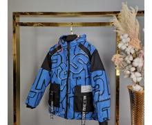 Куртка детская Delfinka, модель 2275 blue демисезон