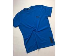 футболка мужская Alex Clothes, модель F95 blue лето