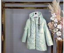 Куртка детская Delfinka, модель 7202 white демисезон