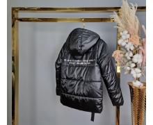 Куртка детская Delfinka, модель 9709 black демисезон