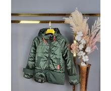 Куртка детская Delfinka, модель HL18 green демисезон