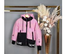 Куртка детская Delfinka, модель HL6 pink демисезон