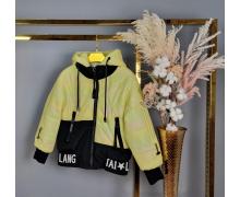 Куртка детская Delfinka, модель HL6 yellow демисезон