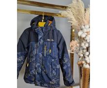 Куртка детская Delfinka, модель WK8319 blue демисезон