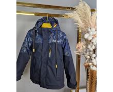 Куртка детская Delfinka, модель WK8319 blue демисезон