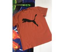 футболка мужская Alex Clothes, модель F145 orange лето