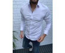 Рубашка мужская Nik, модель 32819 white демисезон