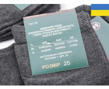 носки мужские Textile, модель 1007Ж сірий демисезон