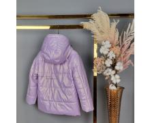 Куртка детская Delfinka, модель 7204 purple демисезон