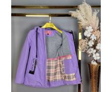 Куртка детская Delfinka, модель BM215 purple демисезон