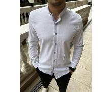Рубашка мужская Nik, модель 33029 white демисезон