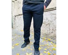 штаны спорт мужские Sport style, модель 01 navy-old-1 демисезон