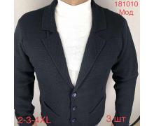 пиджак мужская Надийка, модель 181010 black демисезон