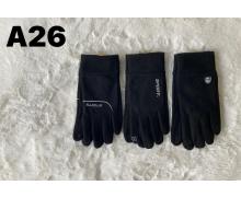 Перчатки мужские Descarrilado, модель A26 black зима