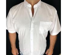 рубашка мужская Надийка, модель R1207-1 классика лето