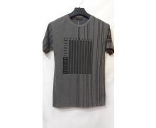 футболка мужская Lordan, модель F73 grey лето