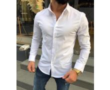 Рубашка мужская Nik, модель 33605 white демисезон