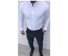 Рубашка мужская Nik, модель 33607 white демисезон