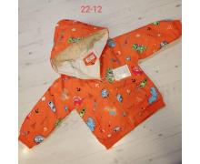 Куртка детская Malibu2, модель 22-12 orange демисезон