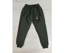 штаны спорт детские Malibu2, модель 9786-1 grey демисезон