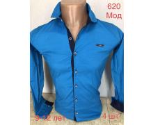 Рубашка детская Надийка, модель 620 blue (9-12) демисезон