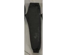 штаны спорт мужские Hoan, модель 008-2 grey демисезон