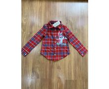 рубашка детская Dingo, модель 215 red демисезон