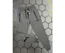 штаны спорт мужские Alex Clothes, модель 3206 grey демисезон