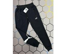 штаны спорт мужские Alex Clothes, модель 3207 navy демисезон