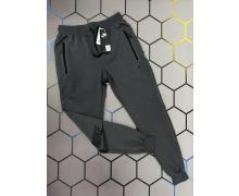 штаны спорт мужские Alex Clothes, модель 3212 d.grey демисезон