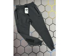 штаны спорт мужские Alex Clothes, модель 3215 d.grey демисезон