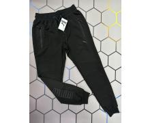штаны спорт мужские Alex Clothes, модель 3216 black демисезон