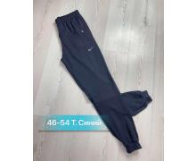 штаны спорт мужские Sport style, модель 02 navy-old-2 демисезон